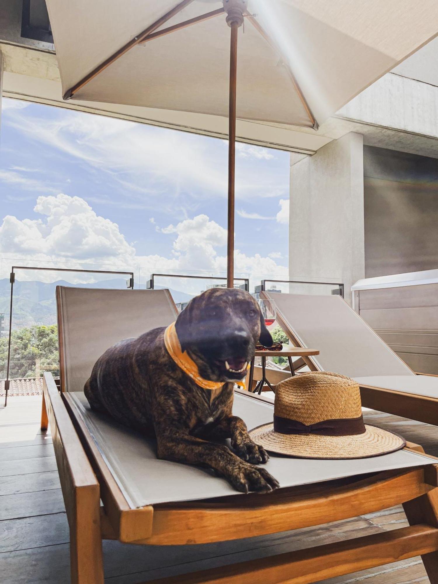 Topa House Medellín Zewnętrze zdjęcie